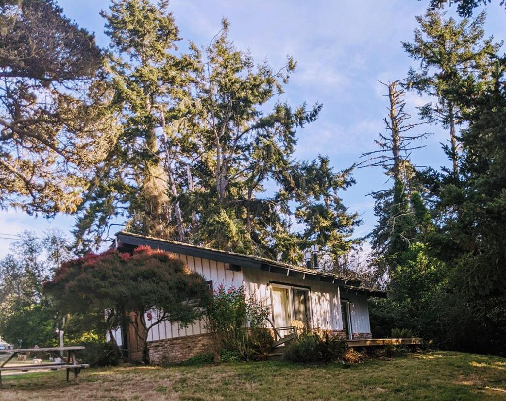 The Andiron Seaside Inn & Cabins Little River Exterior photo